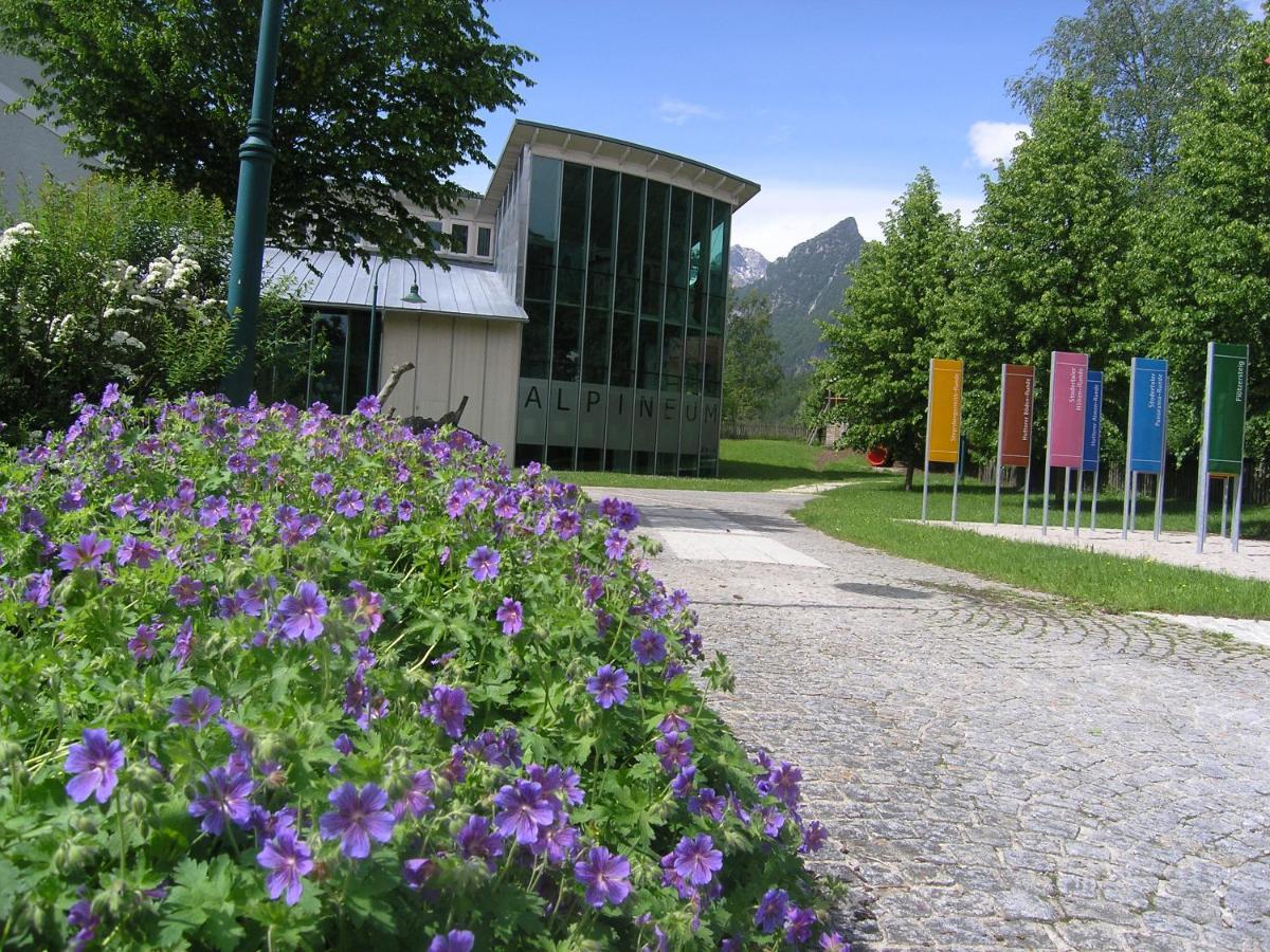 Berg-Panorama-Hof Sturmgut Hinterstoder Exterior foto
